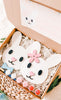 Kid’s Bunny Couple (faces) Craft Kit {unfinished}